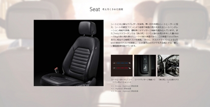 passat Seat.jpg